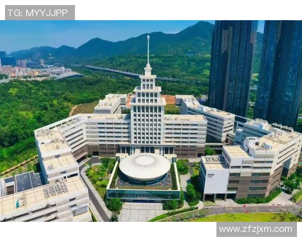 深圳乒乓球队的崛起之路与成长历程全景揭秘