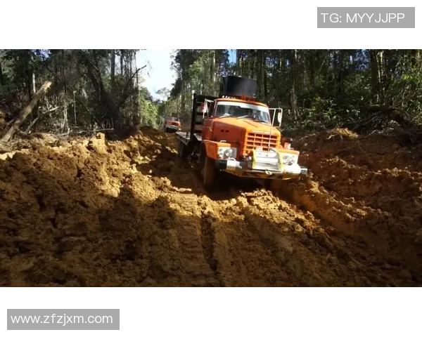 成都篮球队转型之路的真实记录与发展历程探讨