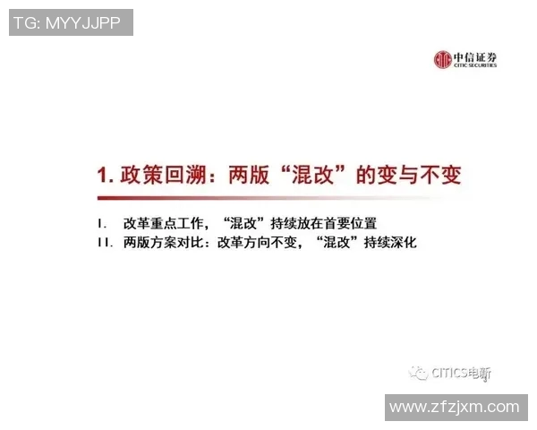 深圳网球队的节奏解析与网球热点动态深度剖析